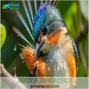 Preening and Bird Health