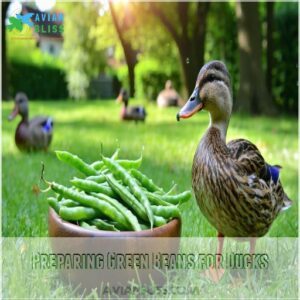 Preparing Green Beans for Ducks