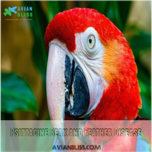 Psittacine Beak and Feather Disease