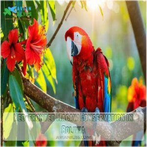 Red-fronted Macaw Conservation in Bolivia