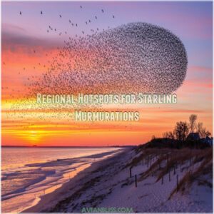 Regional Hotspots for Starling Murmurations