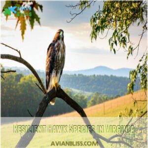 Resilient Hawk Species in Virginia