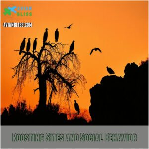 Roosting Sites and Social Behavior