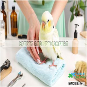 Safety and Pet Comfort