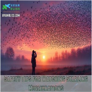 Safety Tips for Watching Starling Murmurations