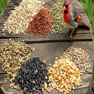 Seed Types for Specific Birds