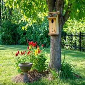 Shelter and Nesting Sites for Red Birds