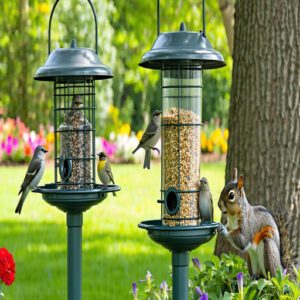 Squirrel-Proof Feeder Designs and Techniques