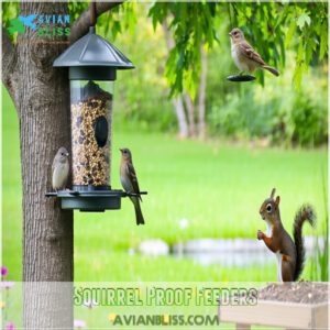 Squirrel Proof Feeders