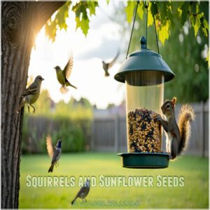 Squirrels and Sunflower Seeds