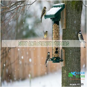 Suet and Peanut Feeders