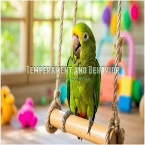 Temperament and Behavior