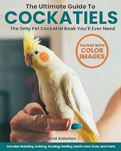 The Ultimate Guide To Cockatiels: