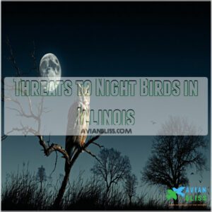 Threats to Night Birds in Illinois