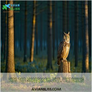 Tips for Successful Owl Watching