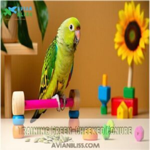 Training Green-Cheeked Conure