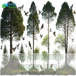 Trees and Shrubs as Roosting Spots