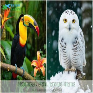 Tropical and Arctic Birds