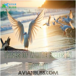 Types of White Birds in Hawaii