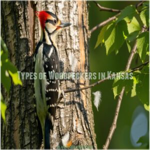 Types of Woodpeckers in Kansas