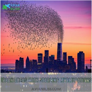 Urban Areas With Starling Murmurations