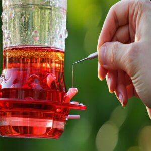 Using a Needle to Remove Air Bubbles