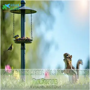 Using a Thin Metal Pole for Mounting The Feeder