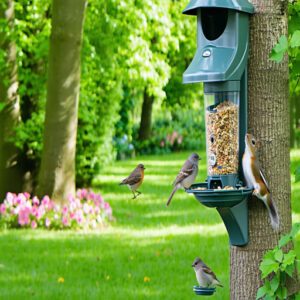 Weight Sensor Activated Perches