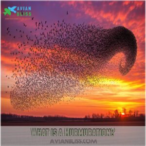 What is a Murmuration