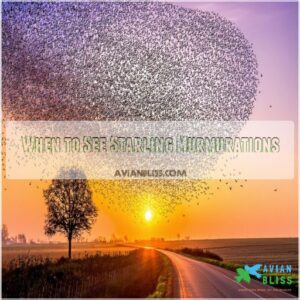 When to See Starling Murmurations