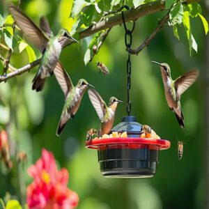 Why Bees Invade Hummingbird Feeders