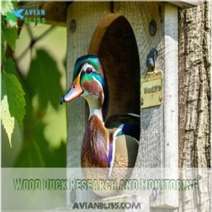 Wood Duck Research and Monitoring