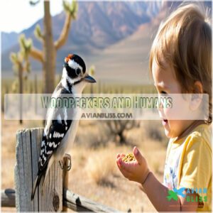 Woodpeckers and Humans