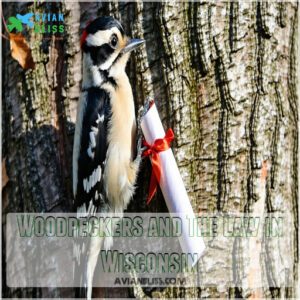 Woodpeckers and The Law in Wisconsin