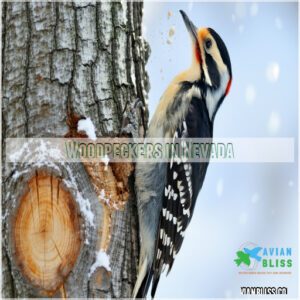 woodpeckers in nevada