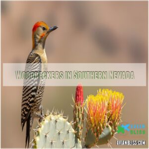 Woodpeckers in Southern Nevada