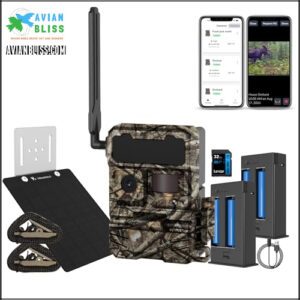 Y2 4G Cellular Trail Camera