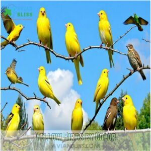 Yellow Birds by Color