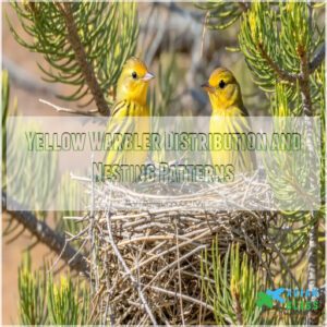 Yellow Warbler Distribution and Nesting Patterns