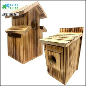 2-Pack Assorted Bird House -