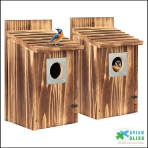 2 Pack Bird Houses for