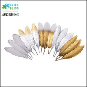 50Pcs 5 Style Natural Goose