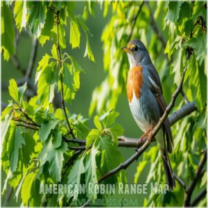 American Robin Range Map