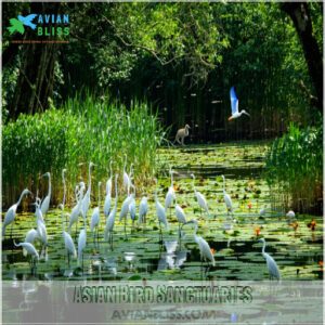 Asian Bird Sanctuaries