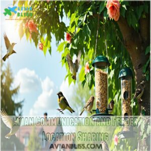 Avian Communication and Feeder Location Sharing