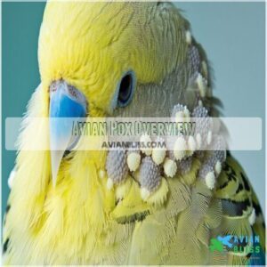 Avian Pox Overview