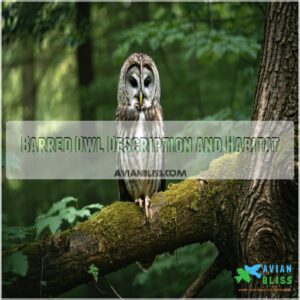 Barred Owl Description and Habitat