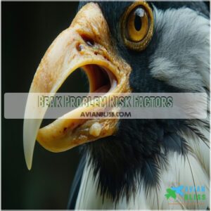 Beak Problem Risk Factors