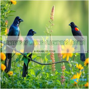 Benefits of Having Blackbirds Around