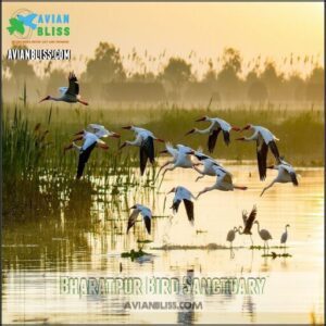 Bharatpur Bird Sanctuary